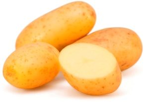 клубни сырой картошки